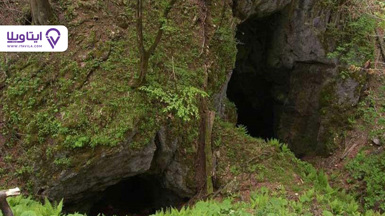 غار آویشو ماسال غاری با قدمت ۷۵ میلیون سال در گیلان