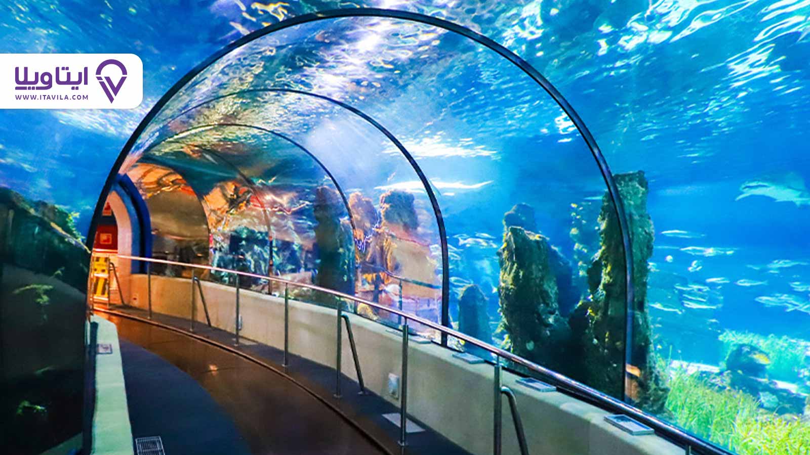 بندر انزلی گیلان کجاست؟ + معرفی ، تصاویر و نقشه