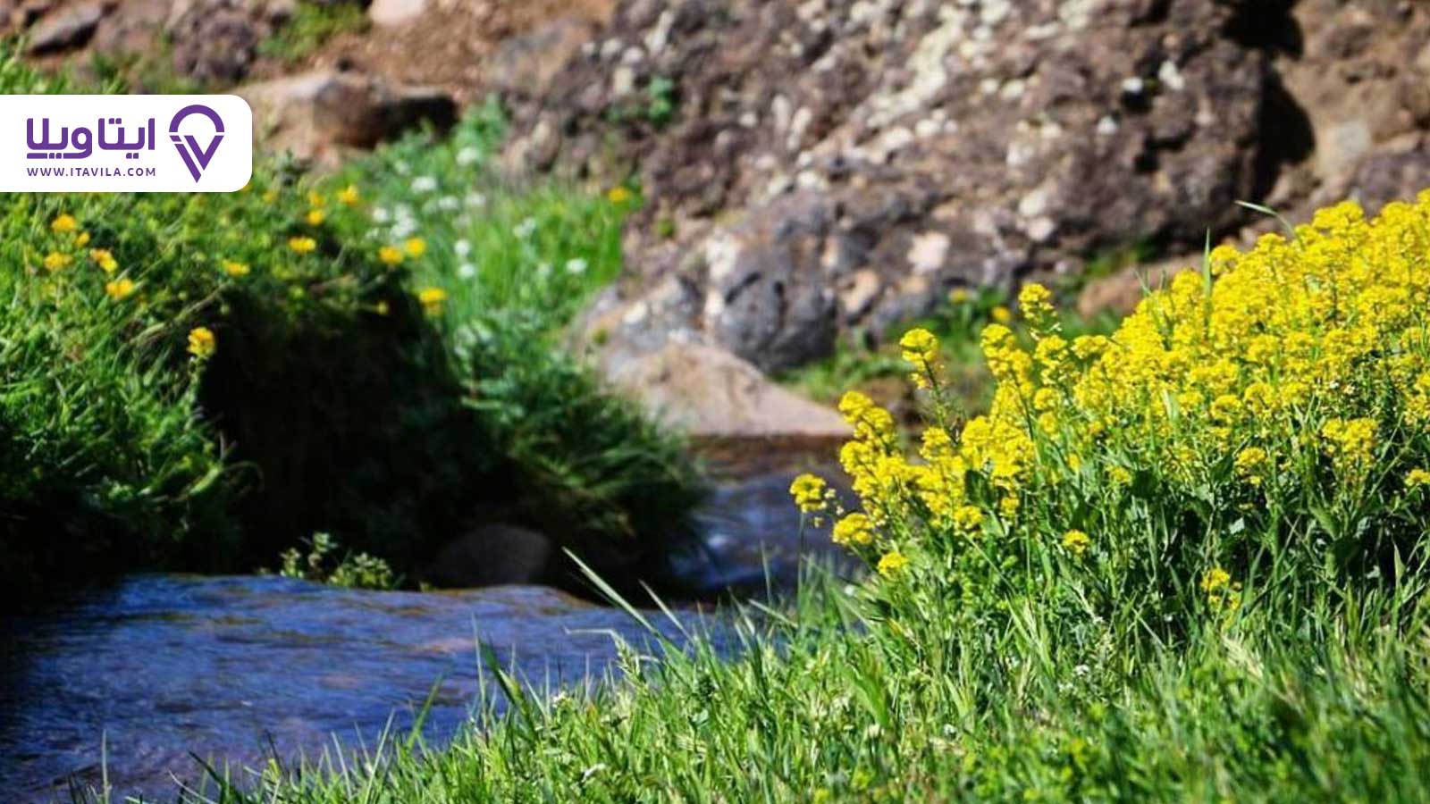 شهر املش را بیشتر بشناسید + معرفی ، تصاویر و نقشه