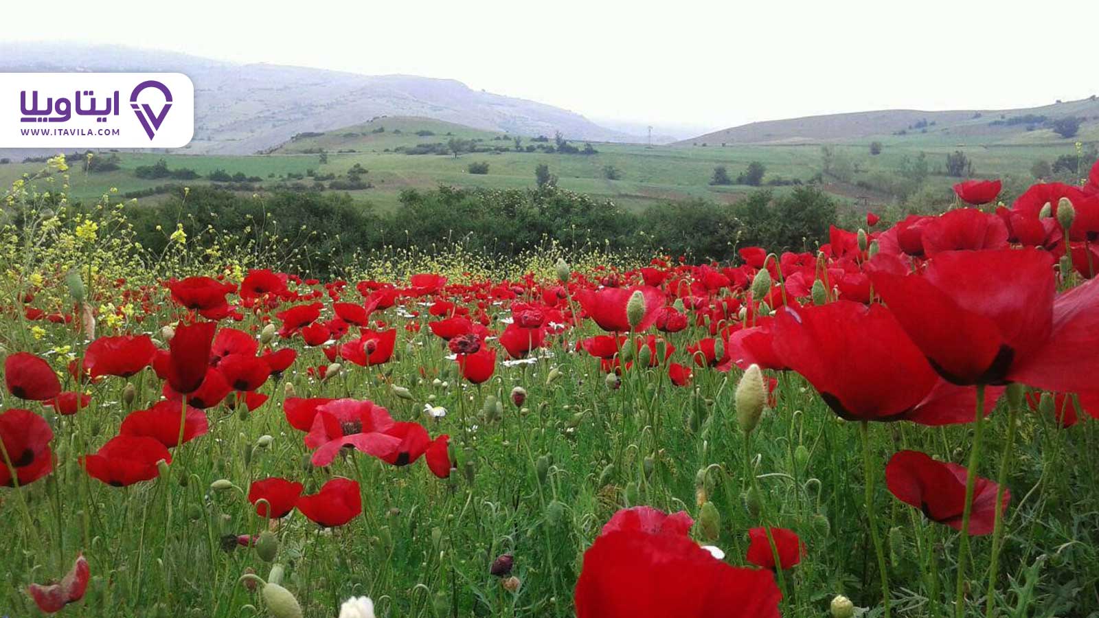 شهر سیاهکل را بیشتر بشناسید + معرفی ، تصاویر و نقشه