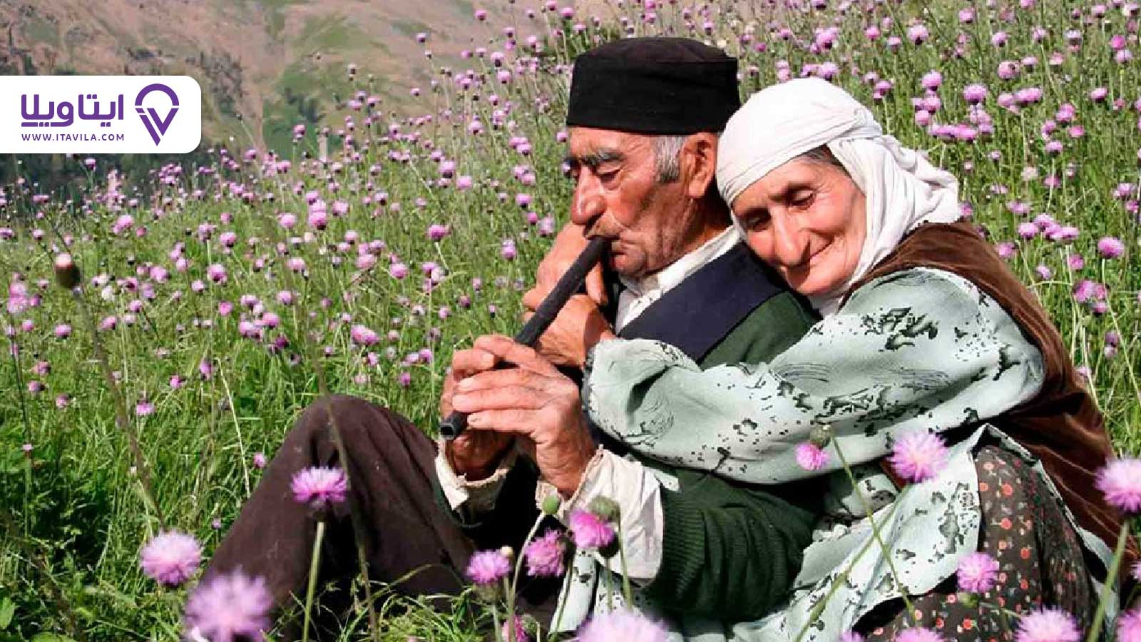 شهر تالش را بیشتر بشناسید + معرفی ، تصاویر و نقشه