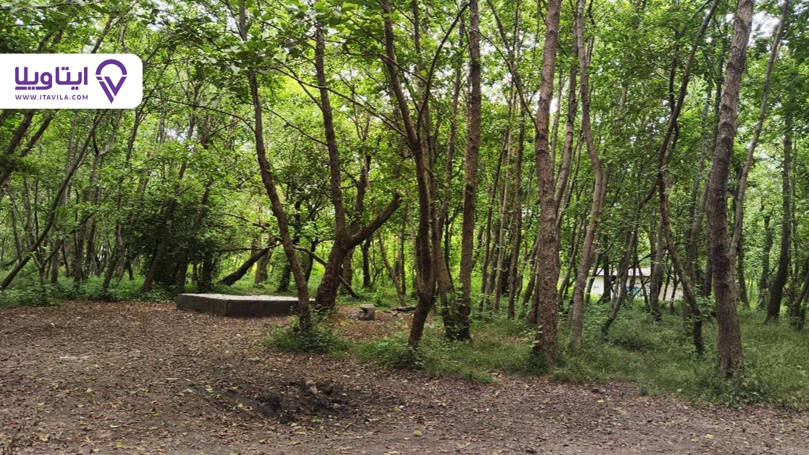 شهر آستانه اشرفیه را بیشتر بشناسید + معرفی ، تصاویر و نقشه