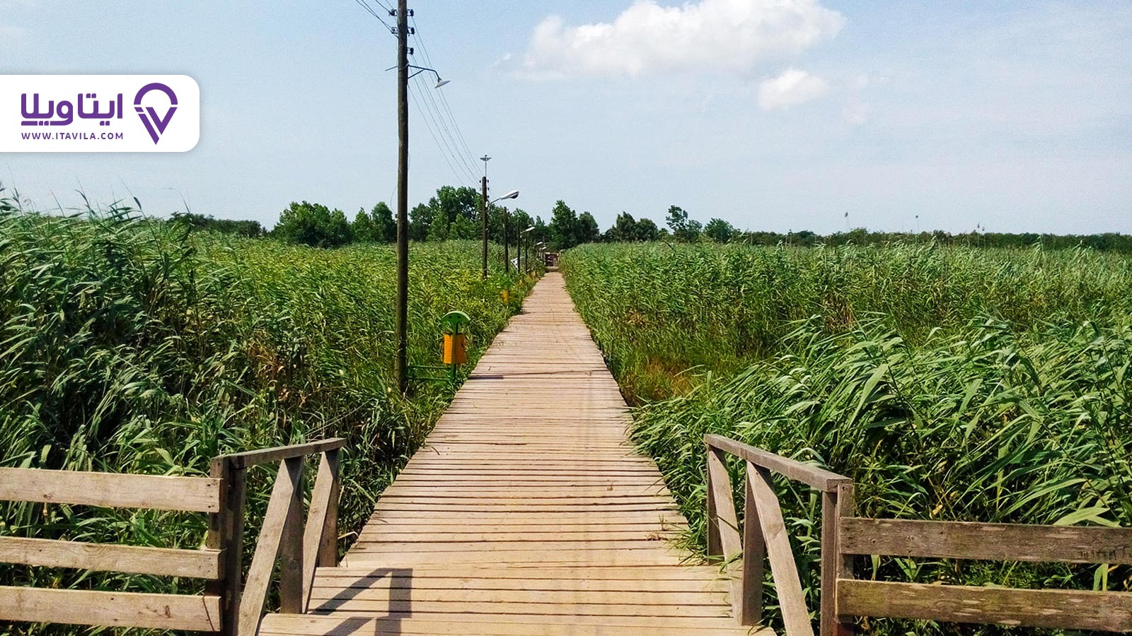 شهر آستانه اشرفیه را بیشتر بشناسید + معرفی ، تصاویر و نقشه