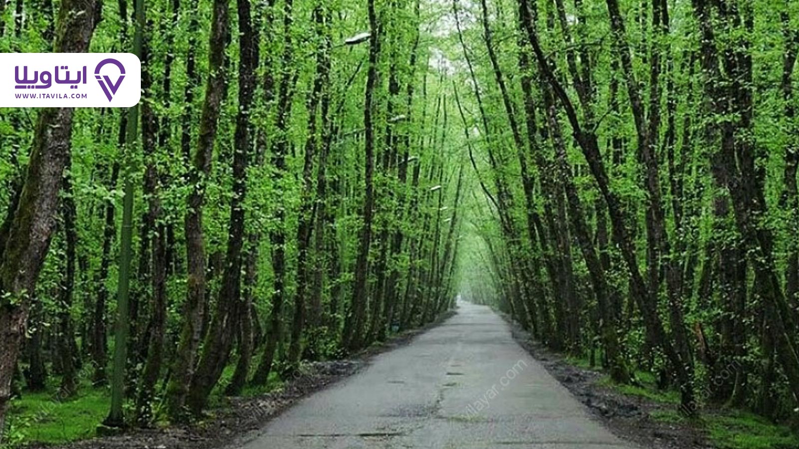 شهر آستانه اشرفیه را بیشتر بشناسید + معرفی ، تصاویر و نقشه