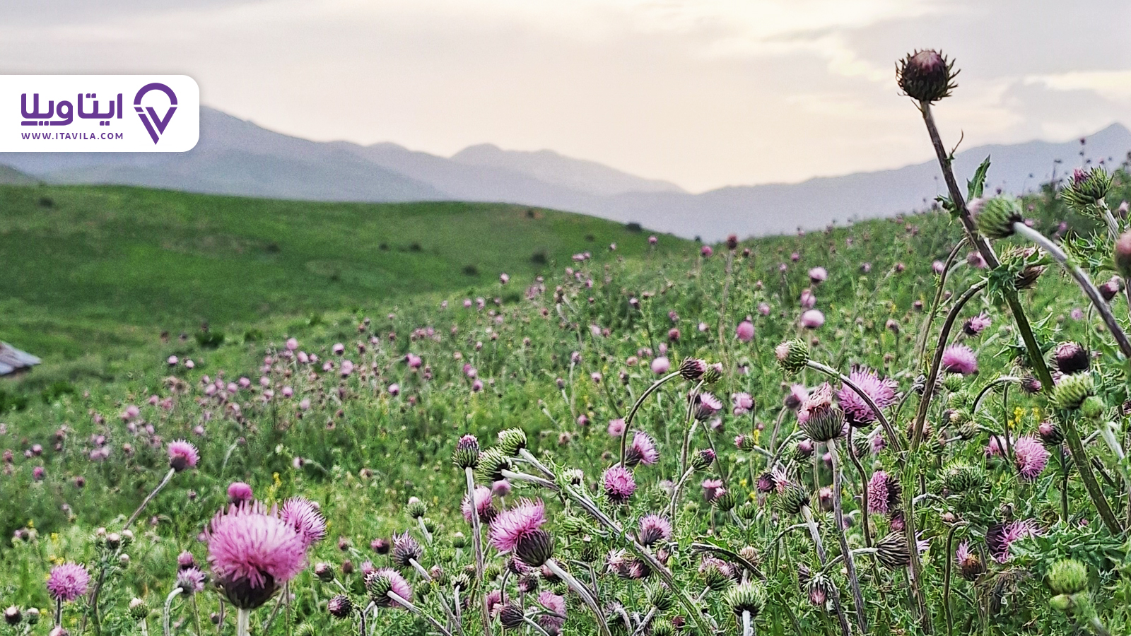 salansar-gilan salansar gilan سلانسر رودبار کجاست؟ + معرفی ، تصاویر و نقشه