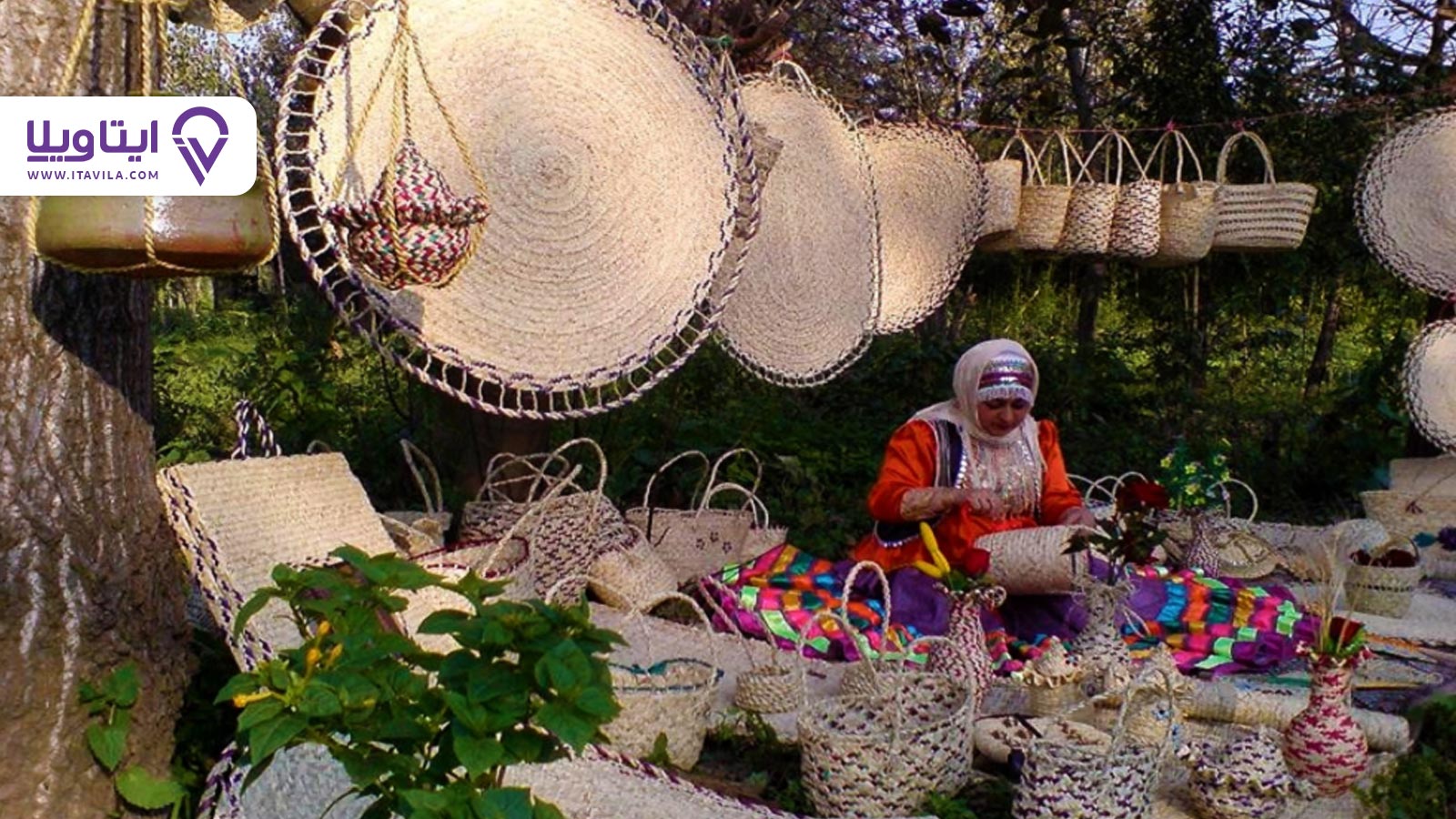 شهر آستانه اشرفیه را بیشتر بشناسید + معرفی ، تصاویر و نقشه