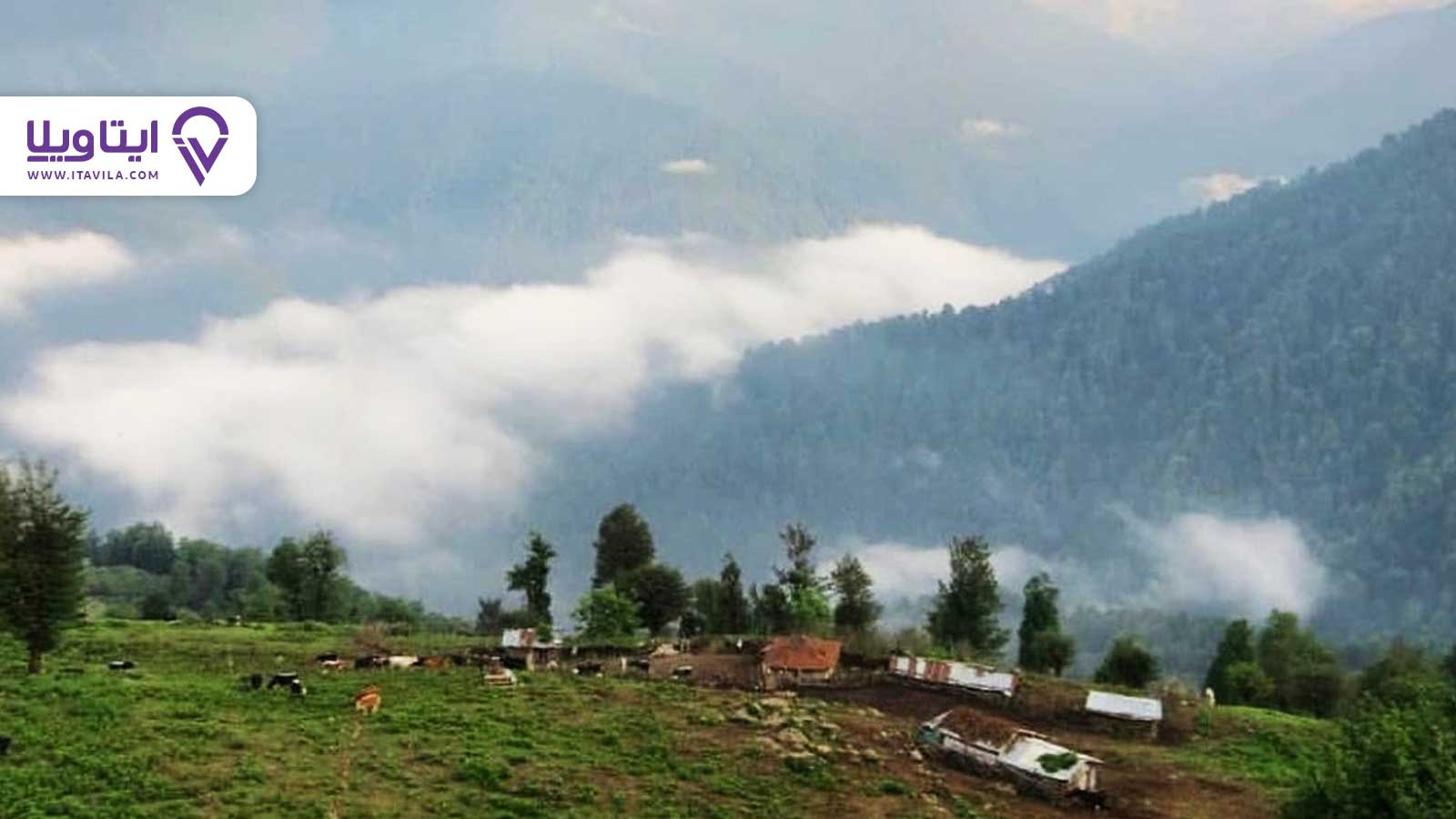 شهر شفت را بیشتر بشناسید + معرفی ، تصاویر و نقشه