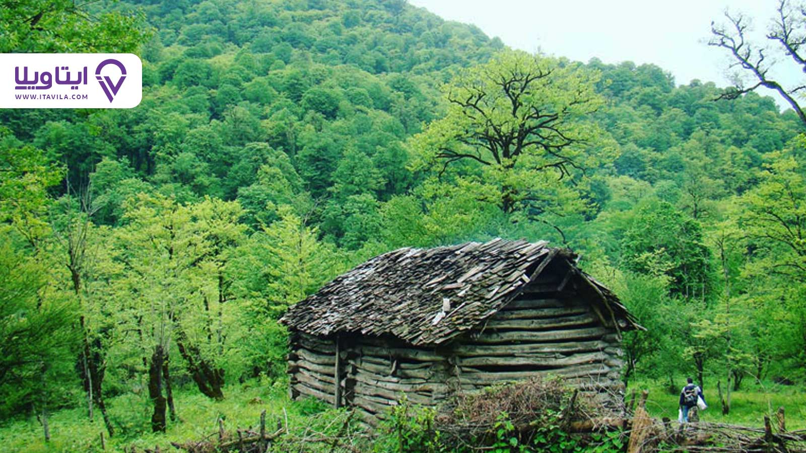 شهر سیاهکل را بیشتر بشناسید + معرفی ، تصاویر و نقشه