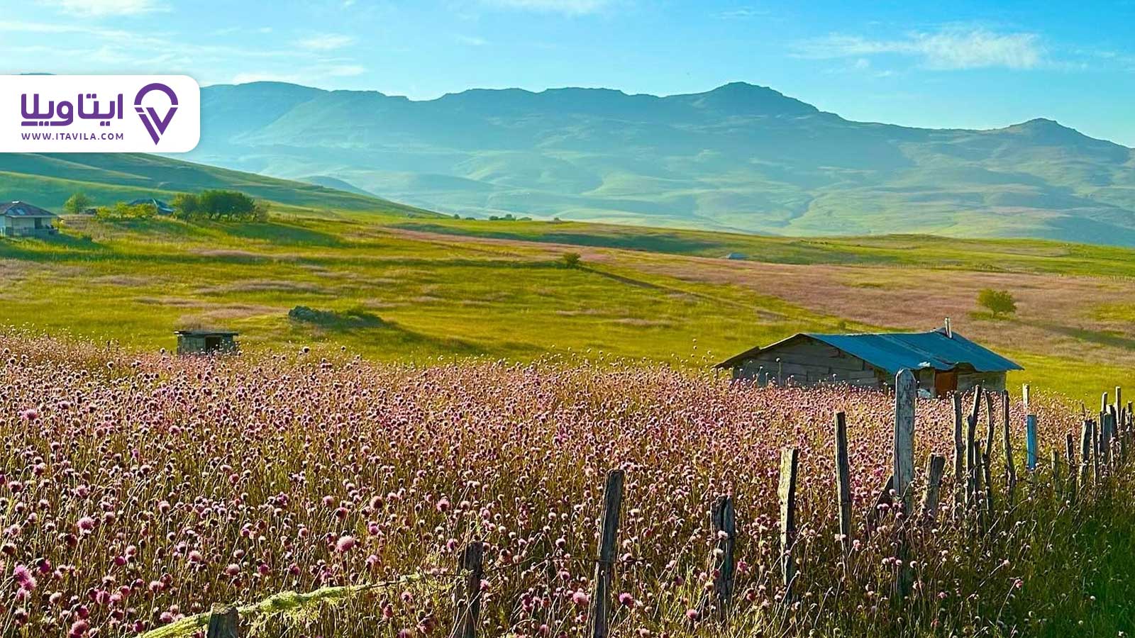 شهر تالش را بیشتر بشناسید + معرفی ، تصاویر و نقشه