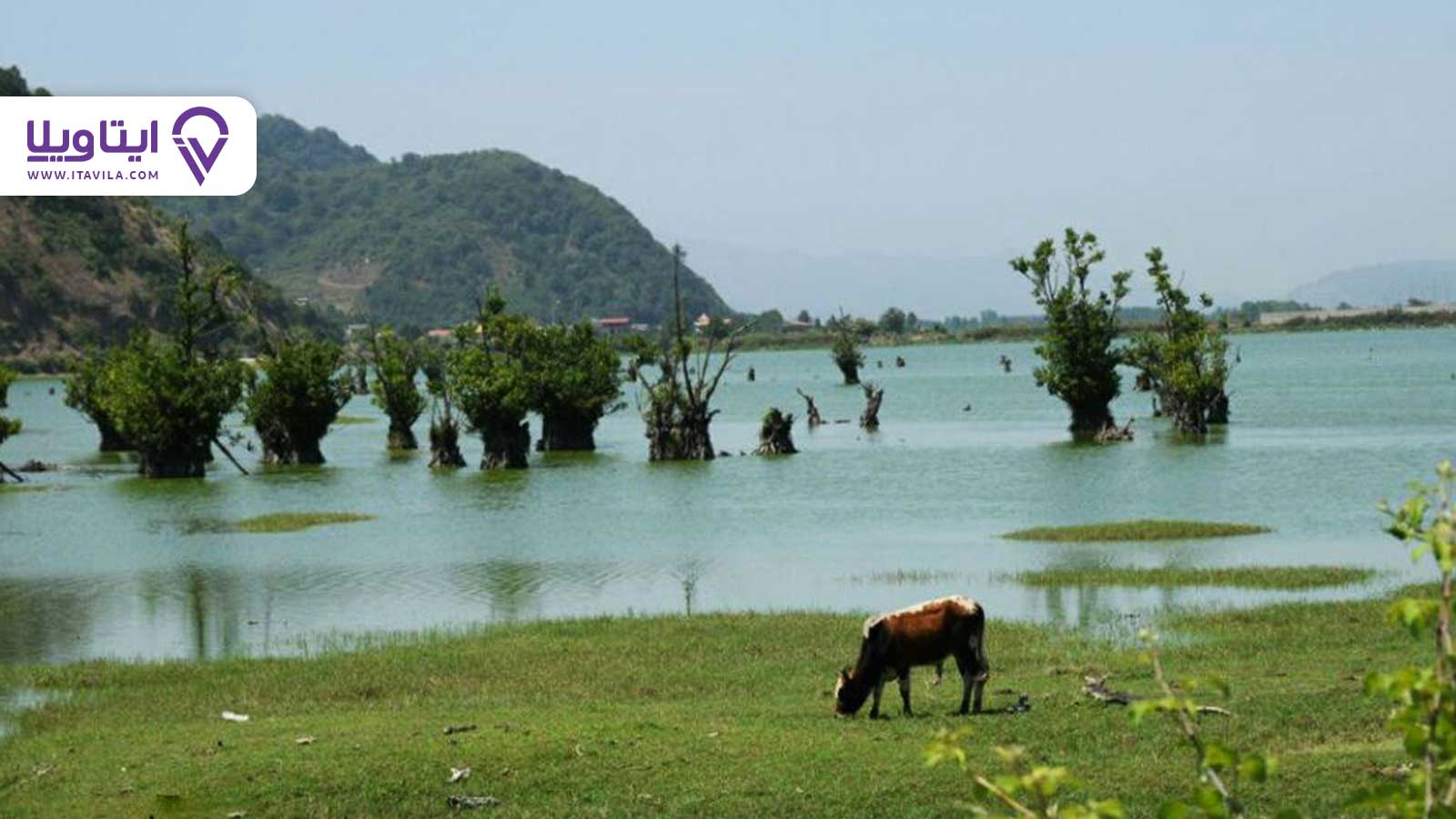 شهر آستارا را بیشتر بشناسید + معرفی ، تصاویر و نقشه