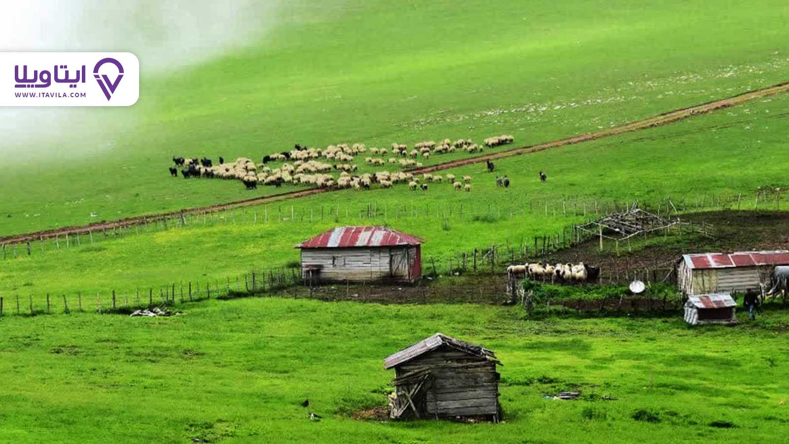 شهر تالش را بیشتر بشناسید + معرفی ، تصاویر و نقشه