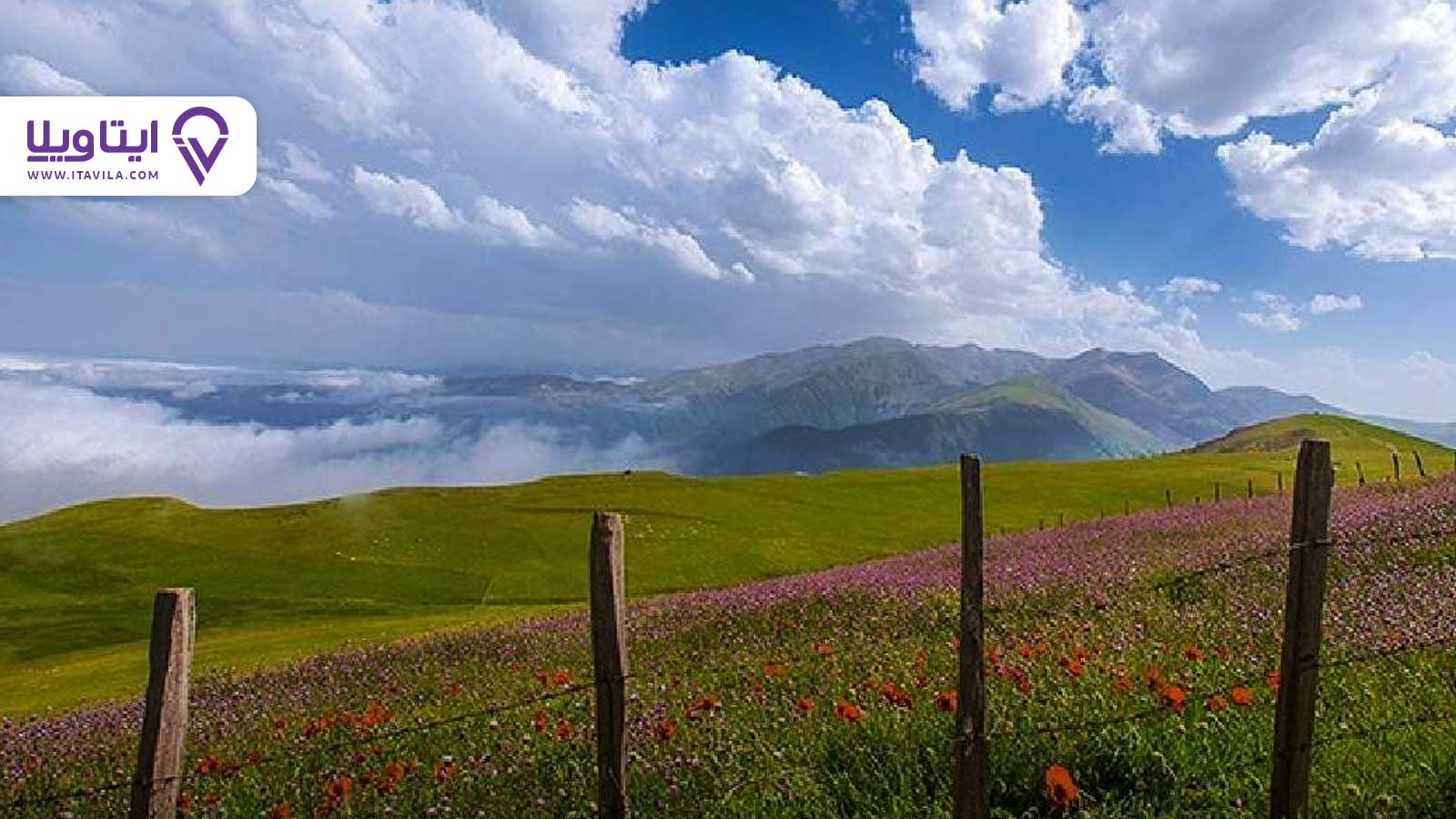 شهر تالش را بیشتر بشناسید + معرفی ، تصاویر و نقشه