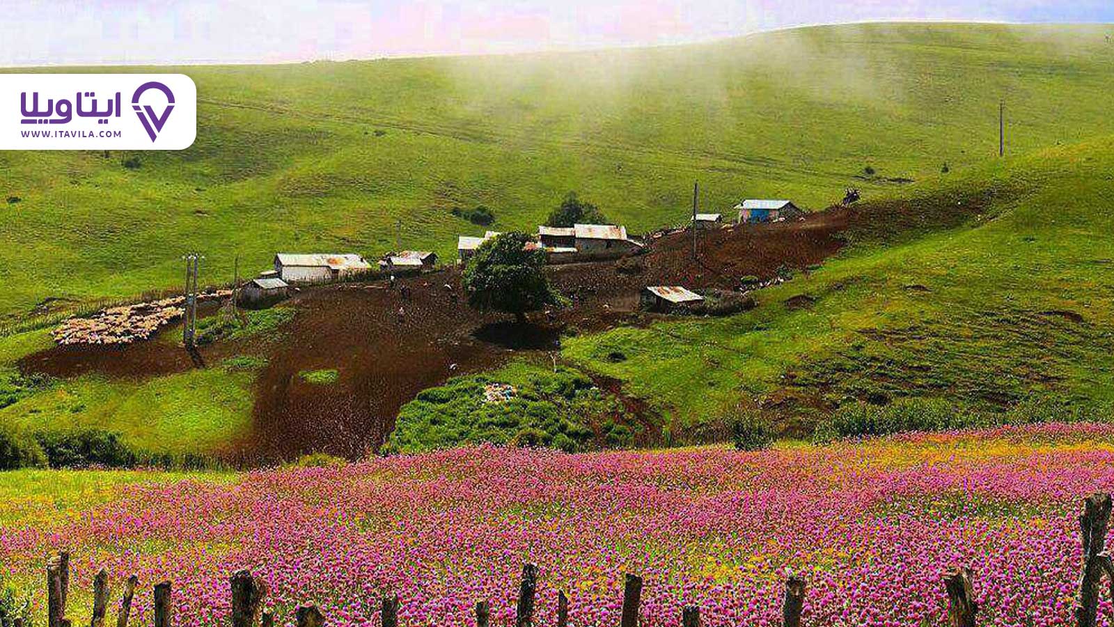 شهر املش را بیشتر بشناسید + معرفی ، تصاویر و نقشه